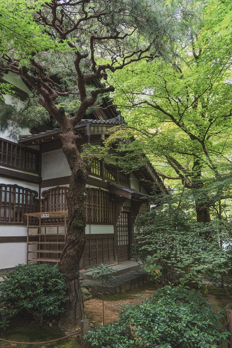Zen Image